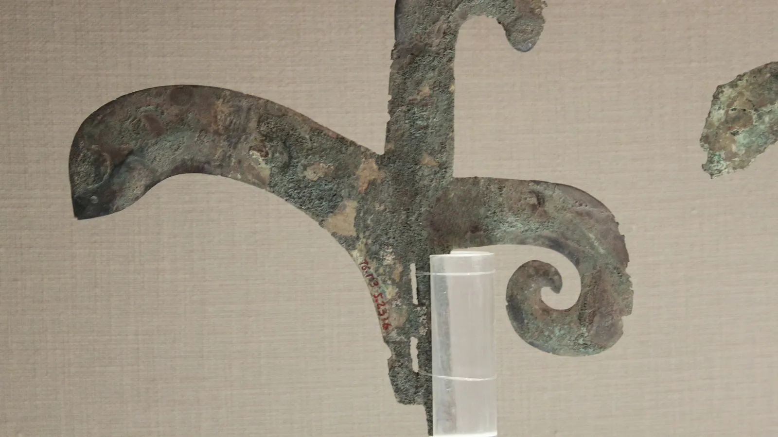 Hallebarde en bronze de la période des Zhou occidentaux, vue de côté dans un musée