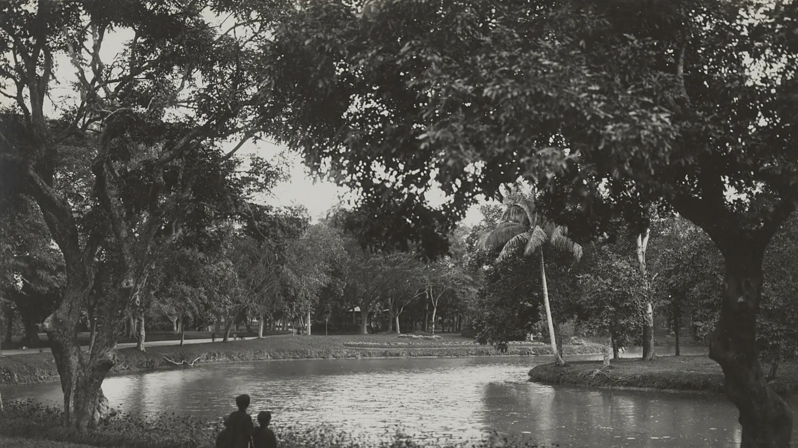 Jardin botanique de Hanoï dans les années 1920, sur une photographie ancienne